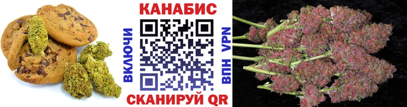 закладка  Южно-Сухокумск  Cannafood конопля 