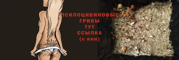 соль курить ск Алзамай